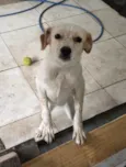Lupita
