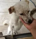 Lupita