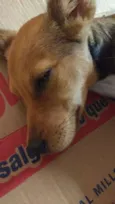 Princesa