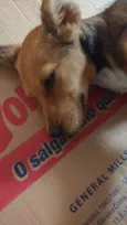 Princesa