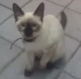 Clincker