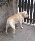 Marley