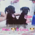 Nina e luna