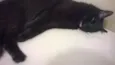 Merlinda
