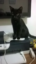 Merlinda