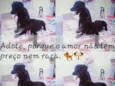 Nina e luna