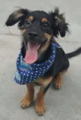 LUCKY