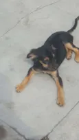 LUCKY