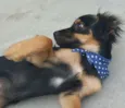 LUCKY