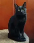 Beto