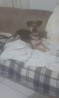 Milla