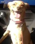 Mel