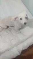 Fred