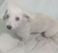 Fred
