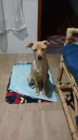 Nina