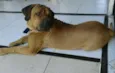 SCOOB