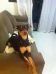 PRETA