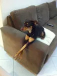 PRETA