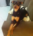 PRETA