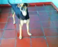Cristal
