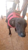 Princesa