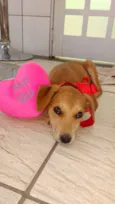 Mel