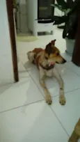 XICA