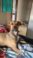 Isa