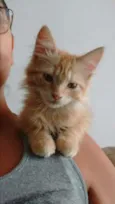 Charlie