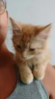 Charlie