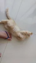 Charlie