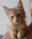 Charlie