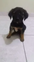 nao tem