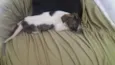 nao tem