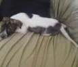 nao tem