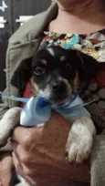 Me da um nome?