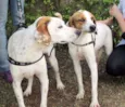 Lyon e Lorena