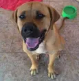 Chico