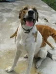 Billy