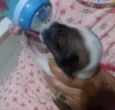toto
