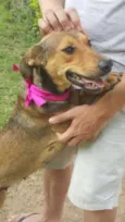 FRIDA