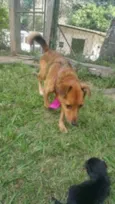 XUXA