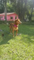XUXA