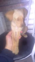 Nem um tem nome 