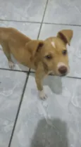 Ares