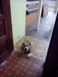 marlon