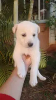 Ainda  estão sem nom