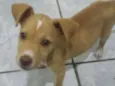 Ares