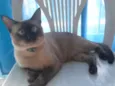 Mil