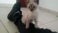 Nina